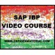 SAP IBP VIDEO COURSE